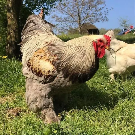 La Casina Tatil Evi Castagno (Emilia-Romagna)